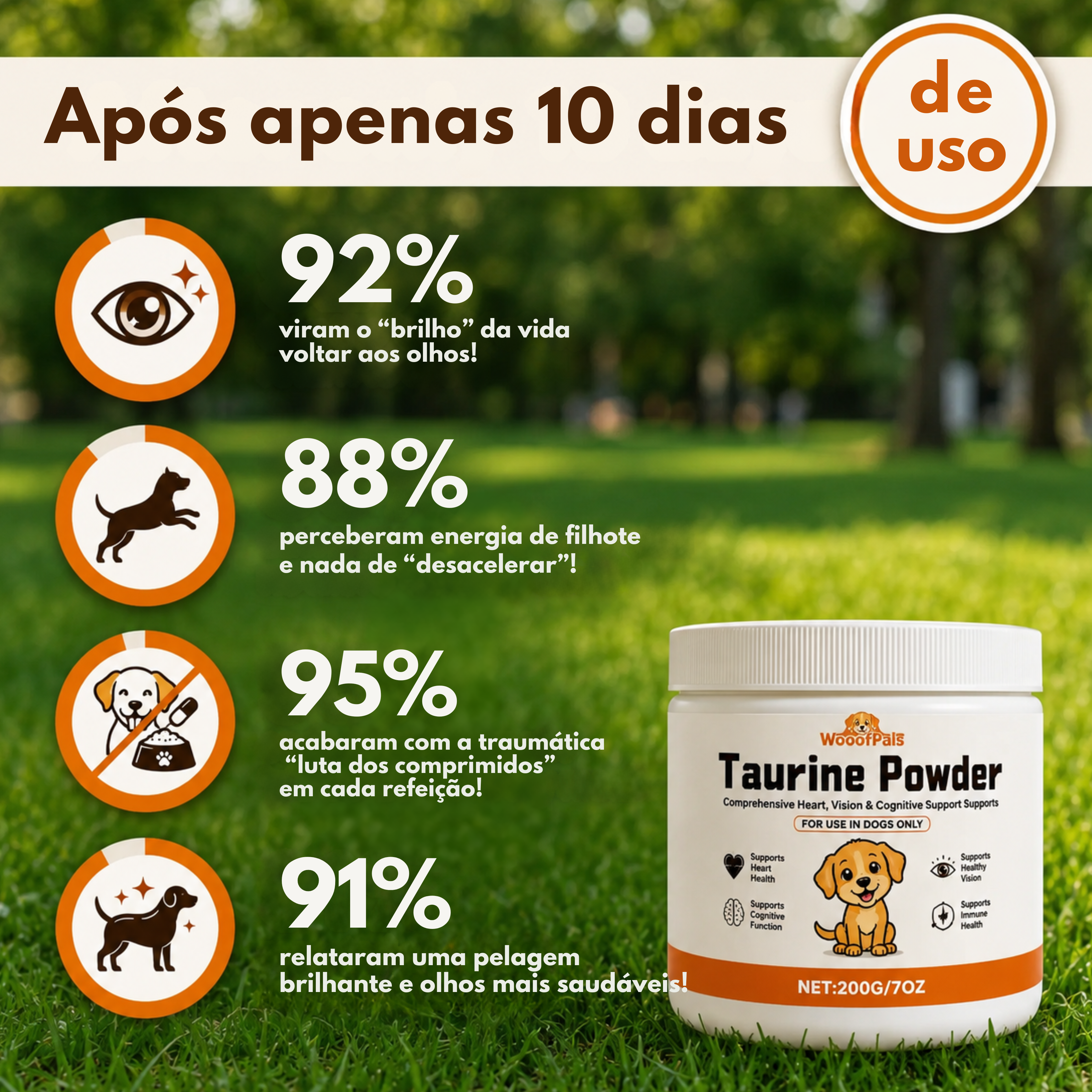 Puppwell™ Taurine for Dogs — Heart Support & Longevity