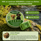 Puppwell™ Flea & Tick Collar Pendant — 12 Months of Protection 2