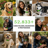 Puppwell™ Flea & Tick Collar Pendant — 12 Months of Protection 5