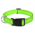 Puppwell™ Safety Collar for Dogs